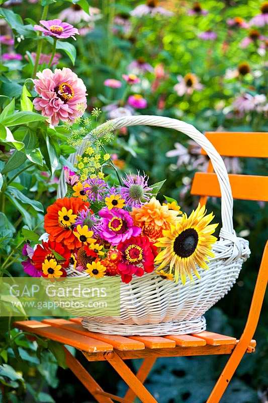 Basket of summer flowers on chair.