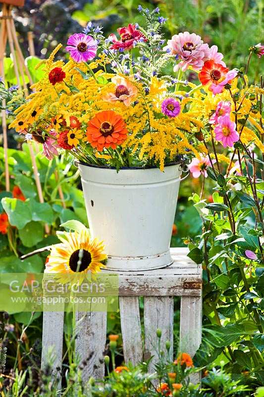 Bucket of summer flowers on crate in colourful cutting garden.
