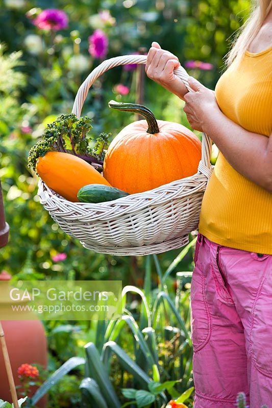Woman with a basket of harvested vegetables.