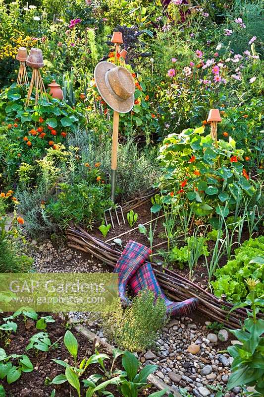 View of productive vegetable beds with beneficial planting and sunhat. 