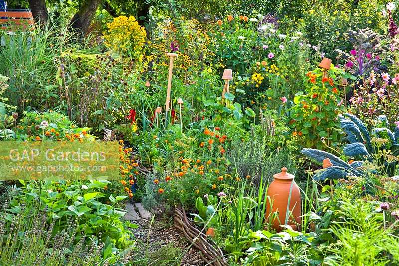 Productive vegetable garden with companion planting.