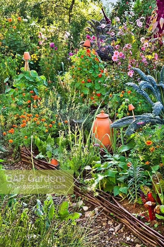 Productive vegetable garden with companion planting.
