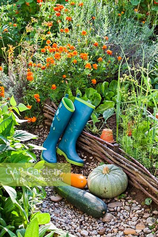 Harvested vegetables and wellington boots by raised vegetable bed.