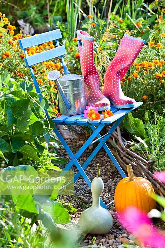 Display of wellington boots, harvested pumpkins and watering can in vegetable garden.