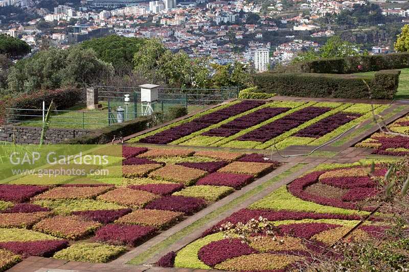 Jardim Botanico Gardens - Botanical Garden, Funchal, Madeira 