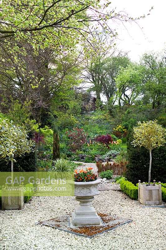 View through formal gravel garden to informal woodland borders. Summerdale Garden, Cumbria, UK. 