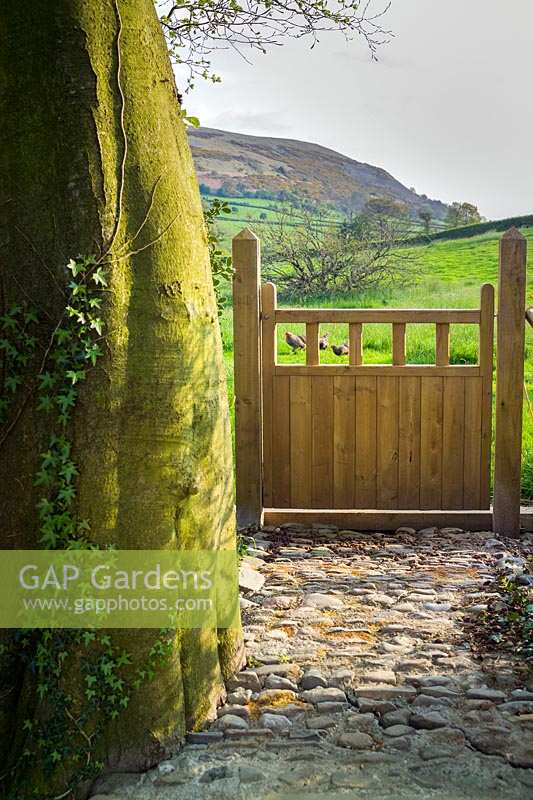 Stone cobbled path to wooden gateway and field beyond. 