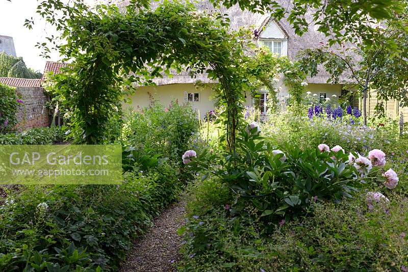 Thatched cottage garden with rose arches and path leading through borders of Paeonia - Peonies,