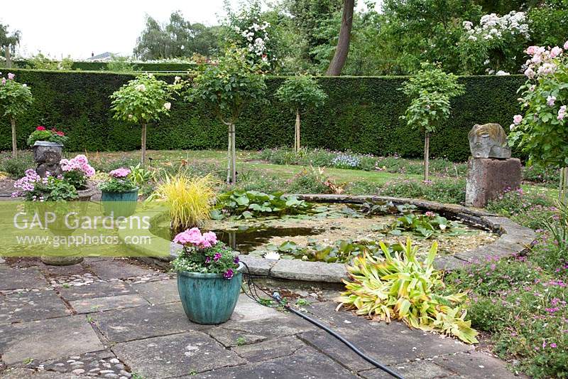 The garden of the late David Austin, with small round pond and standard David Austin roses planted around the edge. 