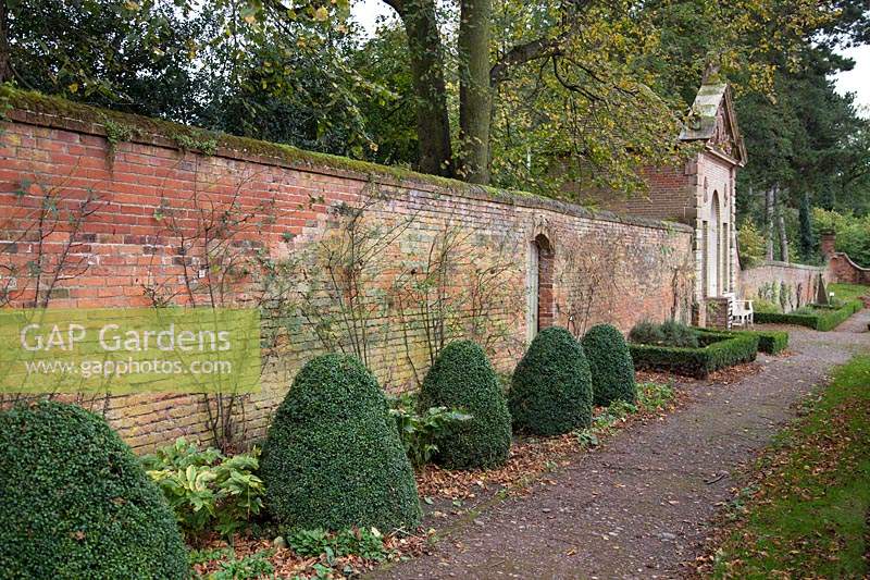 Walled garden with clipped Buxus pyramids and summer house at Castle Bromwich Hall Gardens, UK. 