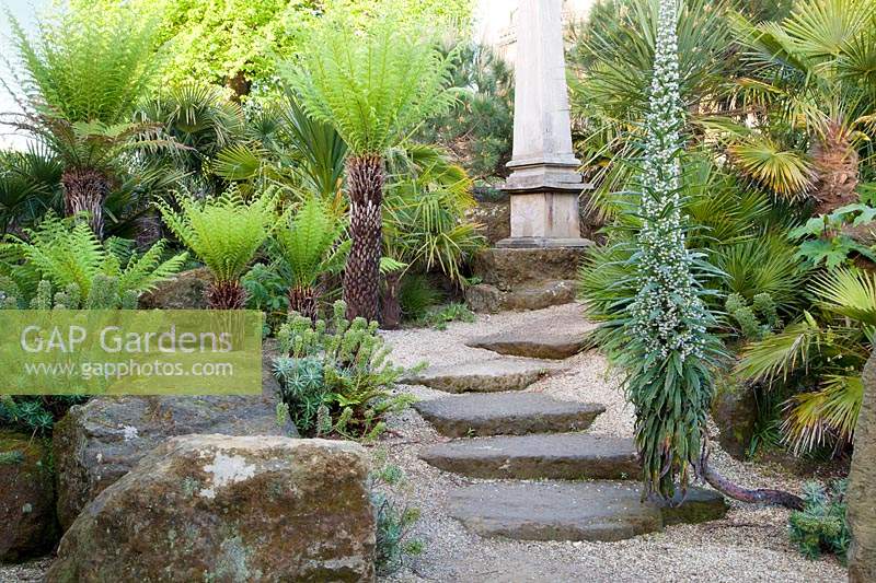 Stone steps to monument through rockery planted with tree ferns, palms, euphorbia and Echium pininana Giant Viper's Bugloss. Arundel Castle, West Sussex, UK