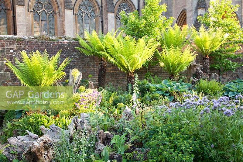 Stumpery with sculptural wooden stumps and tree ferns. Arundel Castle, West Sussex, UK. 