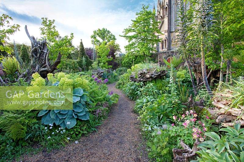 Path through The Stumpery towards the Cathedral 