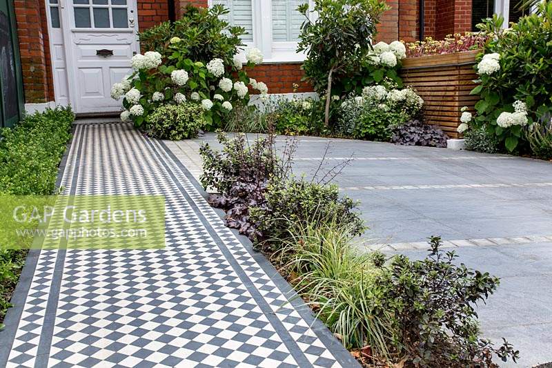 London house with black and white Victorian style tile path with Ilex Crenata Dark Green border and tiled driveway and wood batten bin store in background featuring Hydrangea arborescens Anabelle, 
Eriobotrya Coppertone standard, 
Pittosporum tenuifolium Tom Thumb, 
Carex oshimensis 'Everest' - Japanese Sedge  
