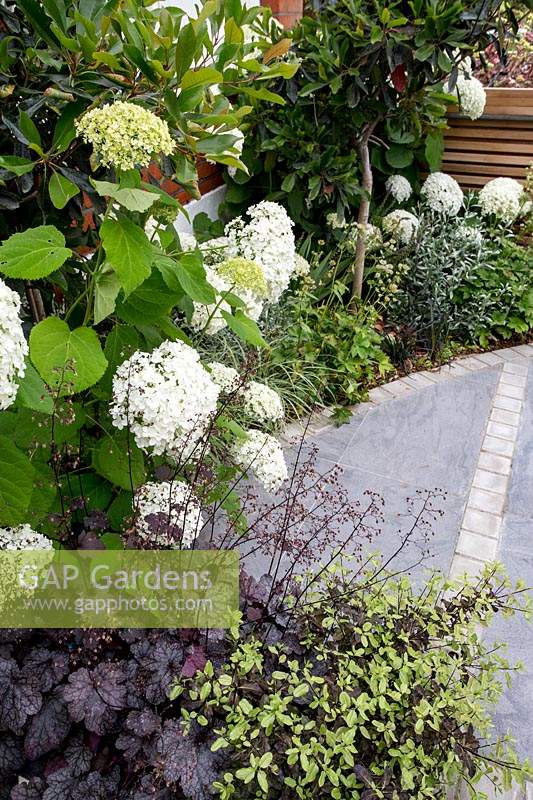 Flowerbed with mixed planting, including Hydrangea arborescens 'Anabelle', Pittosporum tenuifolium and Heuchera 'Plum Pudding'. Designed by Kate Eyre Garden Design. 
