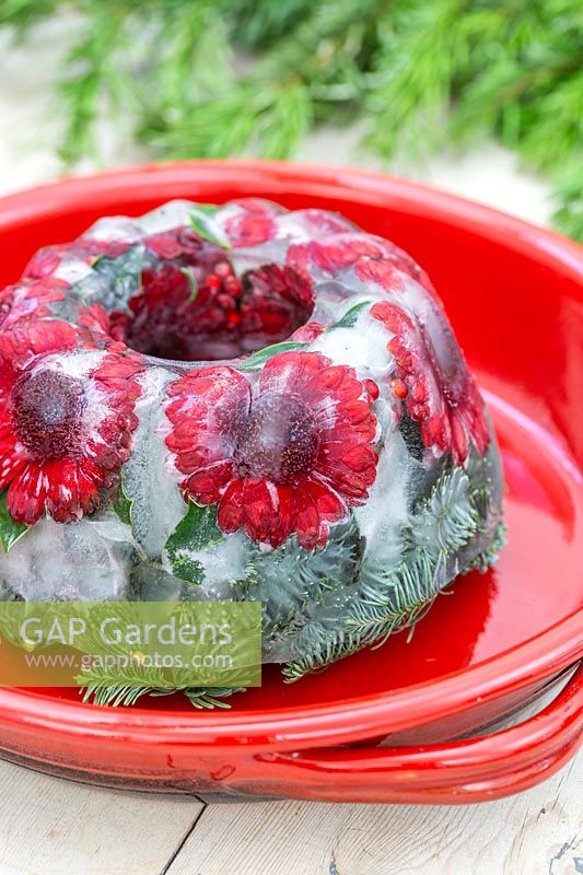 Frozen floral arrangement displayed on red ceramic dish. 