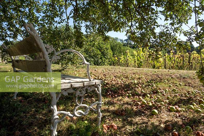 metal garden seat under apple tree. Chateau de Valmer, Chancay, Loire Valley, France.
