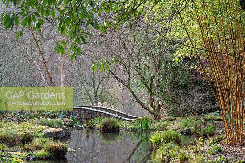 Bridge over the stream at RHS Rosemoor, Devon, UK.  