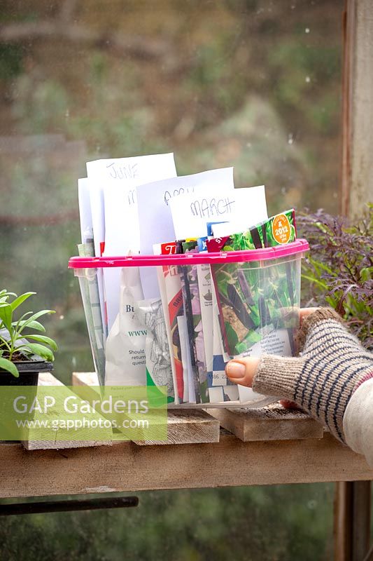 Woman organising seed packets in a box on a shelf in the greenhouse.
