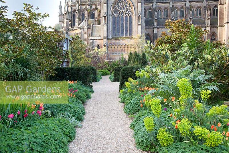 Path to Cathedral through spring border of tulipa and Euphorbia. Arundel Castle, West Sussex, UK