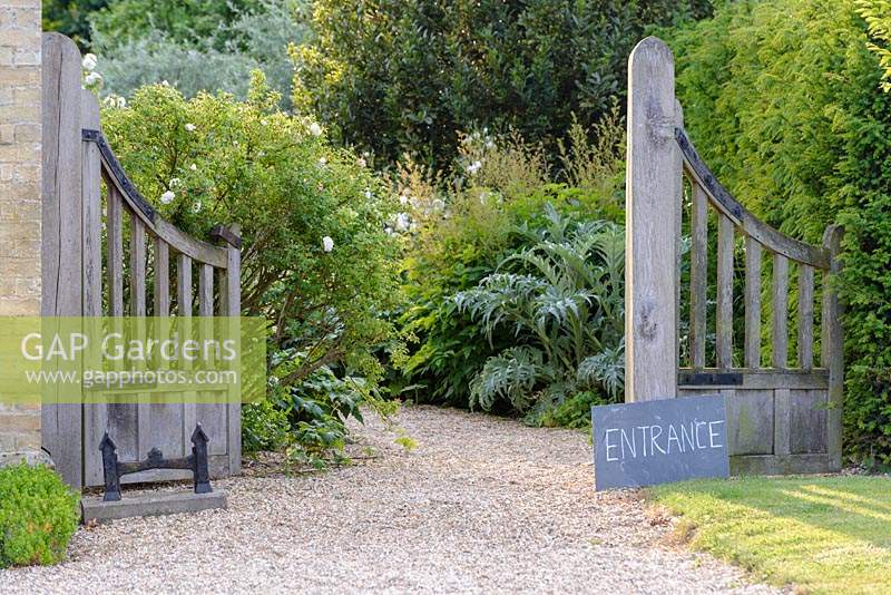 Wooden gates at entrance to garden with roses and Cynara cardunculus - Cardoon. 