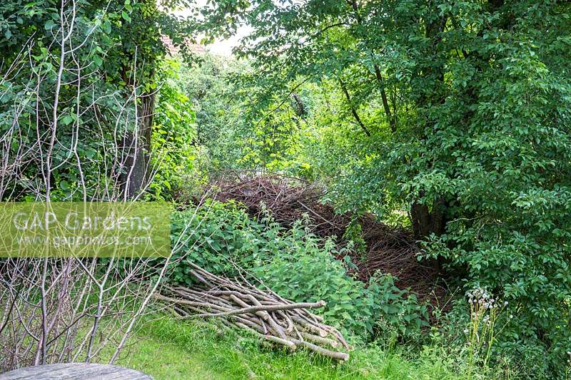 Sticks, stinging nettles and branches form a natural boundary between the trees. 