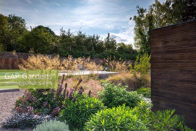 View across mixed borders to swimming pool in contemporary garden. Designed Elks-Smith Garden Design.