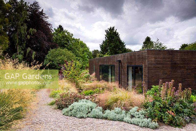 Contemporary house surrounded with mixed border of perennials and ornamental 
grasses with gravel path. Plants include Santolina - cotton grass and Stipa gigantea
 and Acanthus
