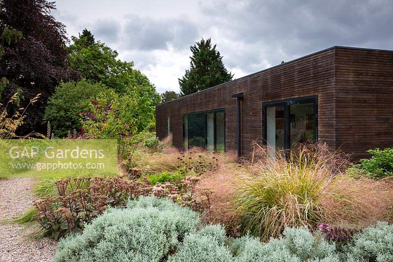 Contemporary house with surrounding beds, planting includes Santolina, Sedum 'Matrona' and Anemanthele lessoniana
