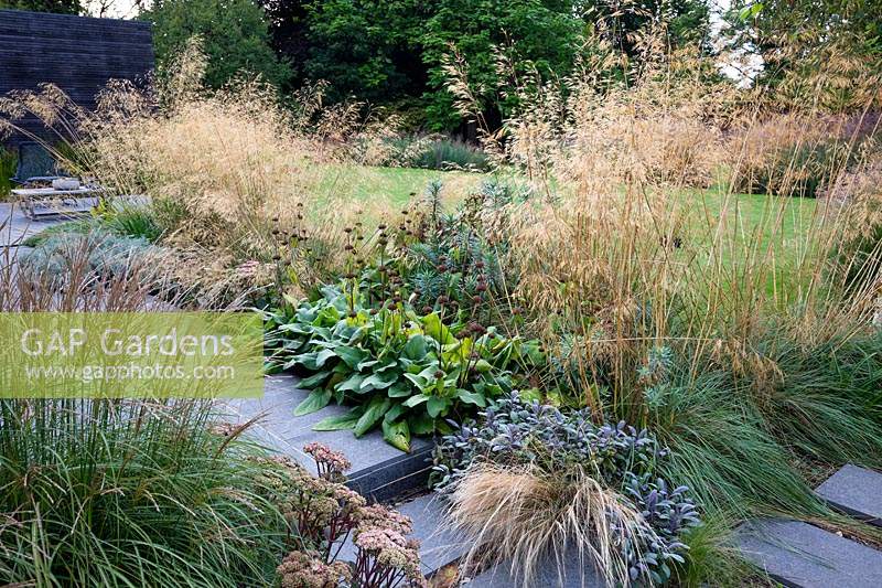 Mixed border in contemporary country garden near Winchester, Hants, UK. Designed Elks-Smith Garden Design.