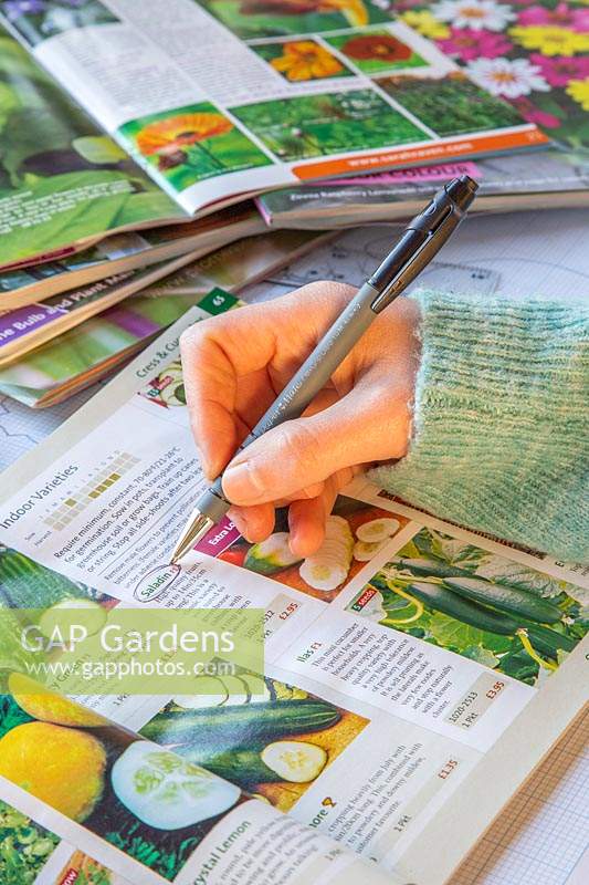 Woman circling seeds to order in printed plant catalogue