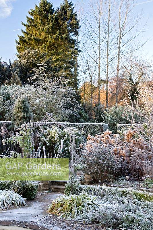 Frosted plants and archway between two levels with view of trees beyond