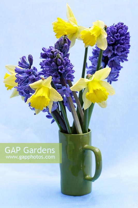 Spring flowers in green jug, including Hyacinths and daffodils. 
