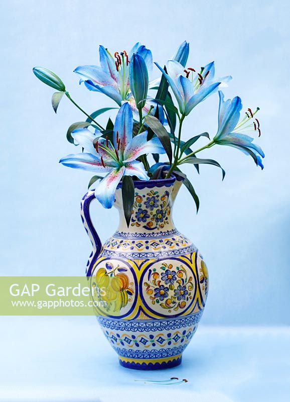 Dyed blue oriental cut lilies in decorative vase, set against blue background.