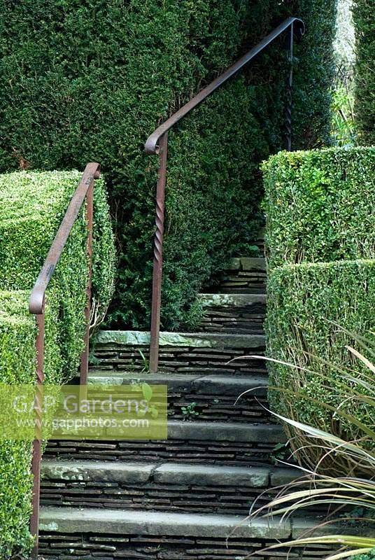 Buxus and Taxus clipped hedges, steps and iron railings. Great Dixter garden, East Sussex, UK. 