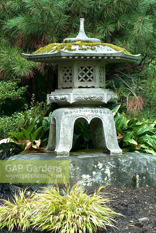Japanese stone lantern on a rock with backdrop of conifer foliage
