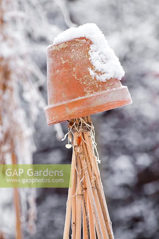 Upturned terracotta pot on top of bamboo cane wigwam in winter. 
