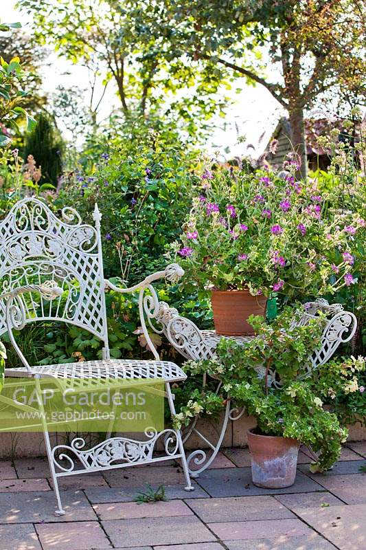 Relaxing area on a patio, chair and matching stand with a potted 
Pelargonium 'Pink Capitatum'