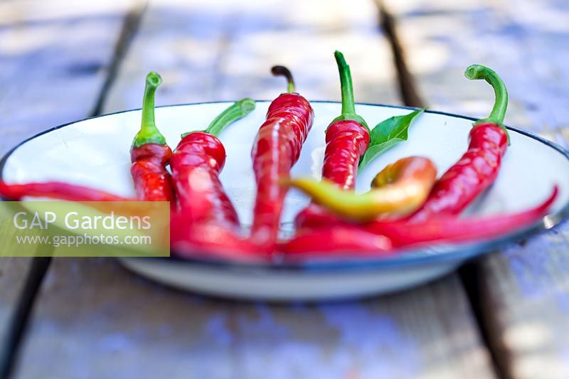 Sweet peppers on plate