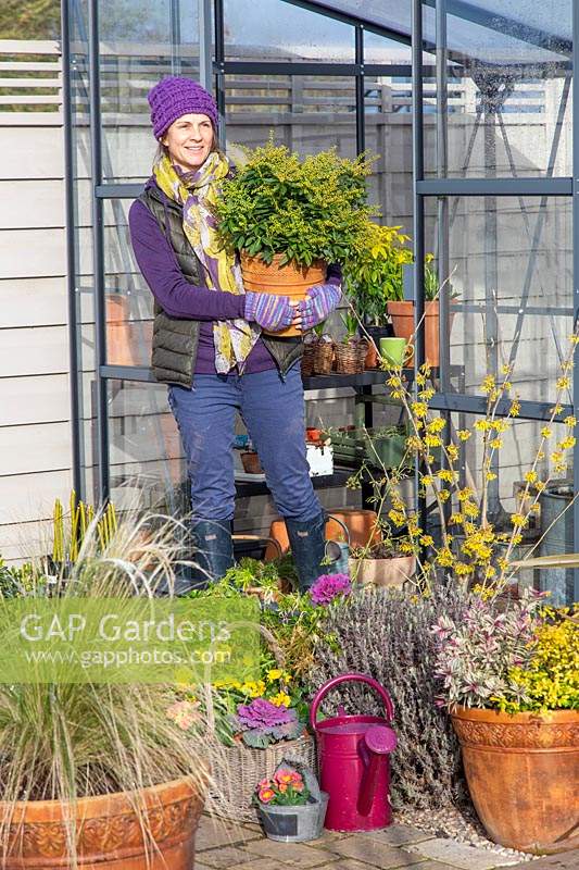 Woman carrying potted evergreen shrub out of greenhouse.