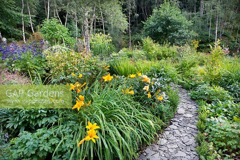Slate covered path leading between herbaceous borders including Hemerocallis - Daylily, Aconitum, Paeonia - Peonies and Geraniums. 