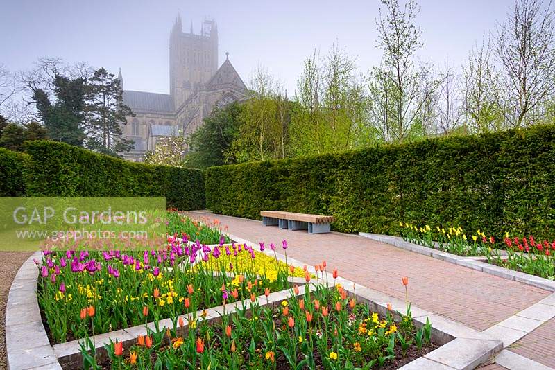 Bishop's Palace Garden, Wells - by Carole Drake - GAP Gardens