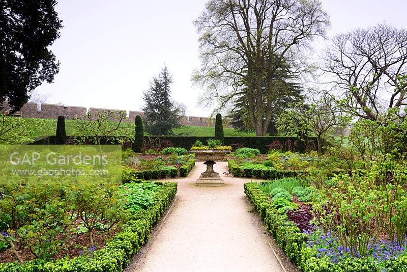 The East Garden, a formal space with low Euonymus hedging, roses and herbaceous planting at Bishop's Palace Garden, Wells, Somerset, UK.