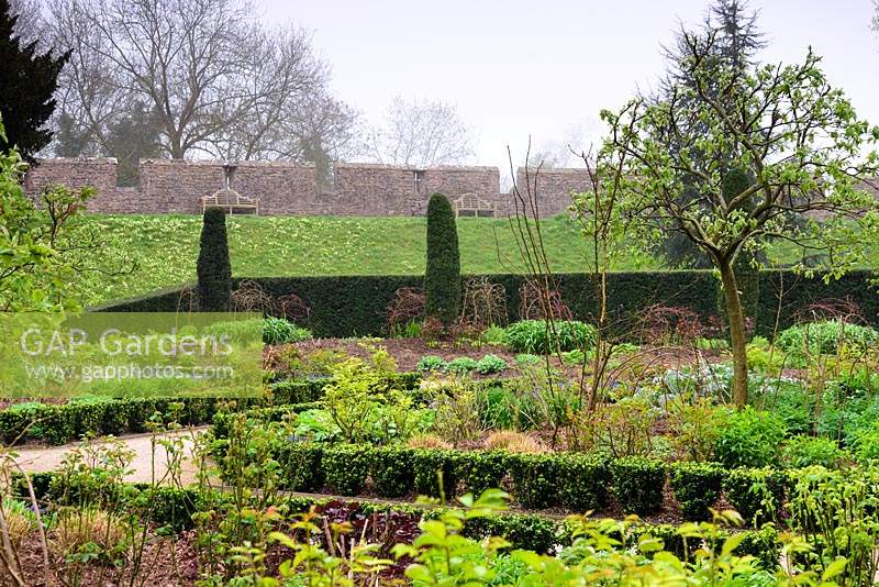 The East Garden, a formal space with low euonymus hedging, roses and herbaceous planting at Bishop's Palace Garden, Wells, Somerset UK