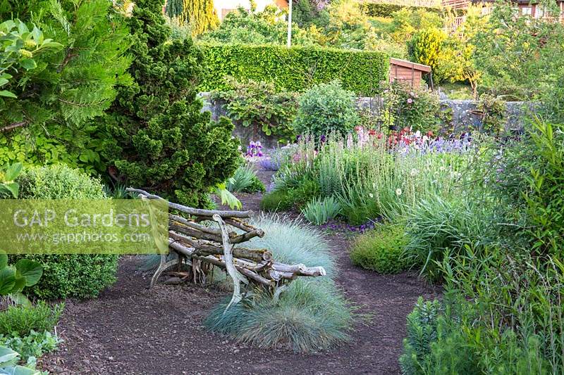View from a rustic wooden bench with ornamental grass Festuca glauca nearby towards bed 
of flowering perennials. Behind bench evergreens such as 
Chamaecyparis lawsoniana 'Erecta Aurea'.