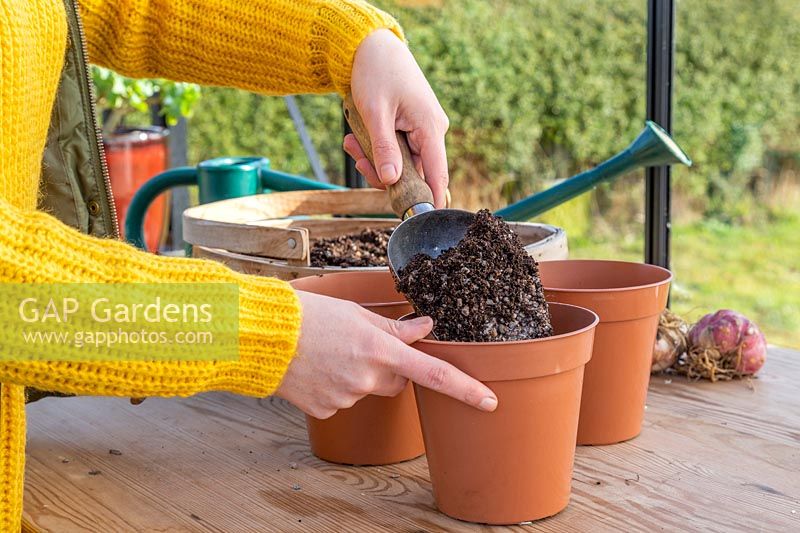 Woman adding gritty compost into plastic plant pots.