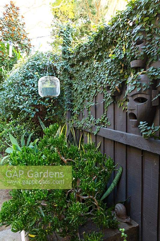 View along border in Australian garden, planted with Crassula ovata 'Gollum' and featuring timber masks mounted onto fence, and retro wire light fitting repurposed as a pot holder. 
