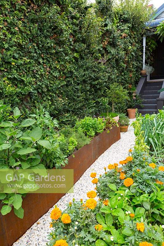 A rectangular rusty Cor-ten steel raised garden bed planted with a mixture of edible herbs and vegetables. 