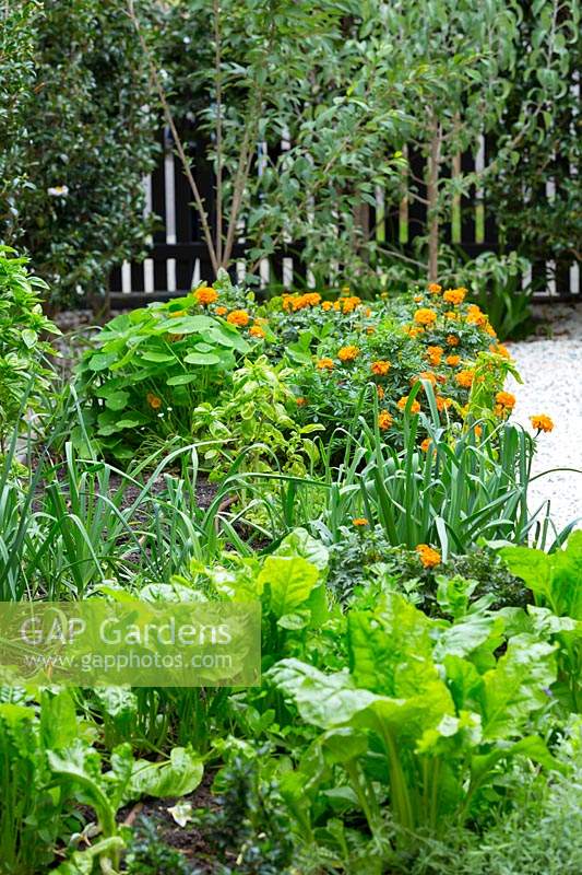 A rectangular rusty Cor-ten steel raised garden bed planted with a mixture of edible herbs and vegetables.
