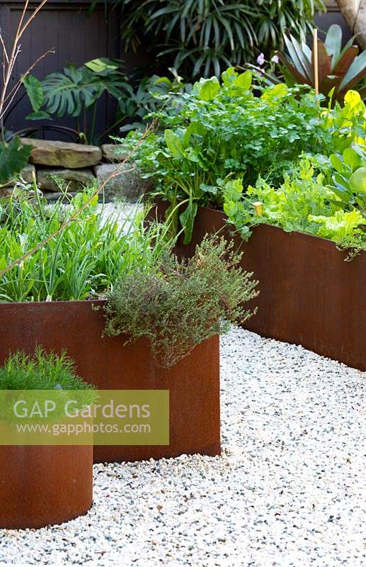 Rectangular rusty Cor-ten steel raised garden beds planted with a mixture of edible herbs and vegetables.

